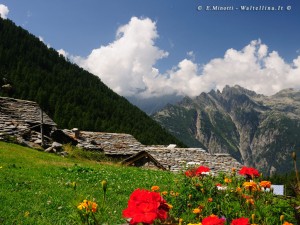 Sfondi desktop primavera - valtellina