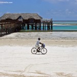 Sfondi Zanzibar - wallpapers palafitte