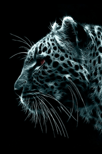 Sfondi tigre iphone - wallpapers cellulari gratis