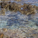 Sfondi paesaggi HD - mare della Sardegna