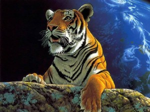 Sfondi desktop fantasy - tigre immagine