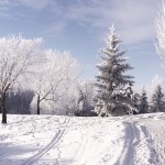 Sfondi desktop inverno HD - paesaggio nella neve