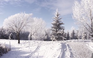 Sfondi desktop inverno HD - paesaggio nella neve