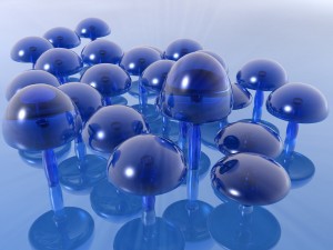 Sfondi desktop HD funghi blu