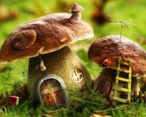 Sfondi desktop HD funghi casa fantasy