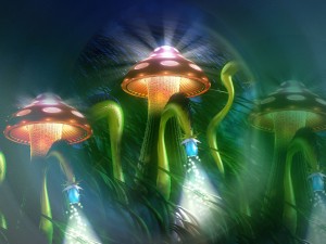 Sfondi desktop HD funghi in 3D