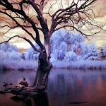 Sfondo paesaggio fantasy - lago wallpaper