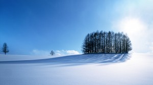 Sfondi desktop HD - paesaggio di neve