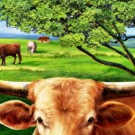 Sfondo mucca - animali wallpapers