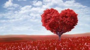 Sfondi buon san Valentino HD - albero a cuore