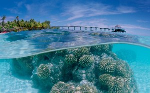 Sfondi-desktop-mare-tropicale-Indonesia