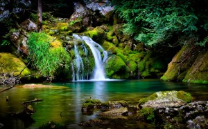 Sfondo paesaggio cascata nella foresta da scaricare