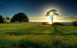 Sfondo paesaggio natura e sole da scaricare