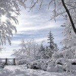 Sfondi paesaggio inverno con neve HD