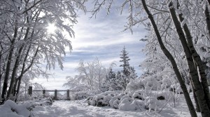 Sfondi paesaggio inverno con neve HD