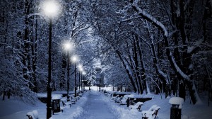 Sfondi paesaggio inverno con neve di notte