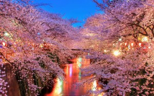 Sfondi primavera  - fiume e alberi in fiore