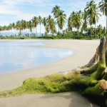 Sfondi spiagge tropicali HD