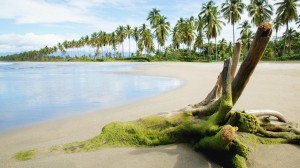 Sfondi spiagge tropicali HD