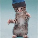 Gif animata gatto ballerino