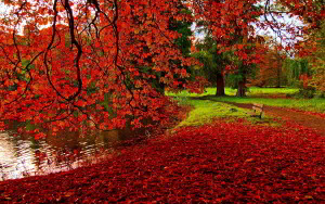 Sfondo autunno romantico