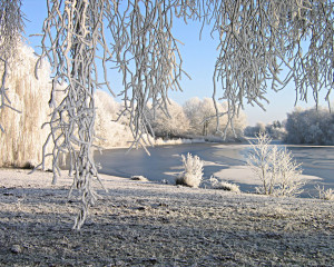 Sfondo neve bellissimo