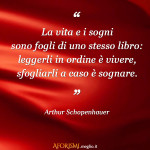 Frase sulla vita sogni