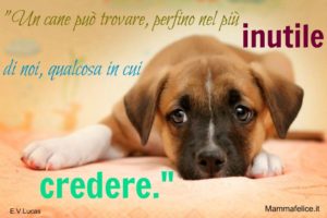 Frasi-belle-sullamore-dei-cani