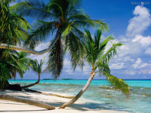 Sfondi mare estate caraibi