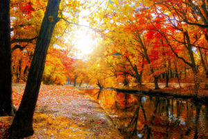 sfondo-autunno-lungo-il-fiume